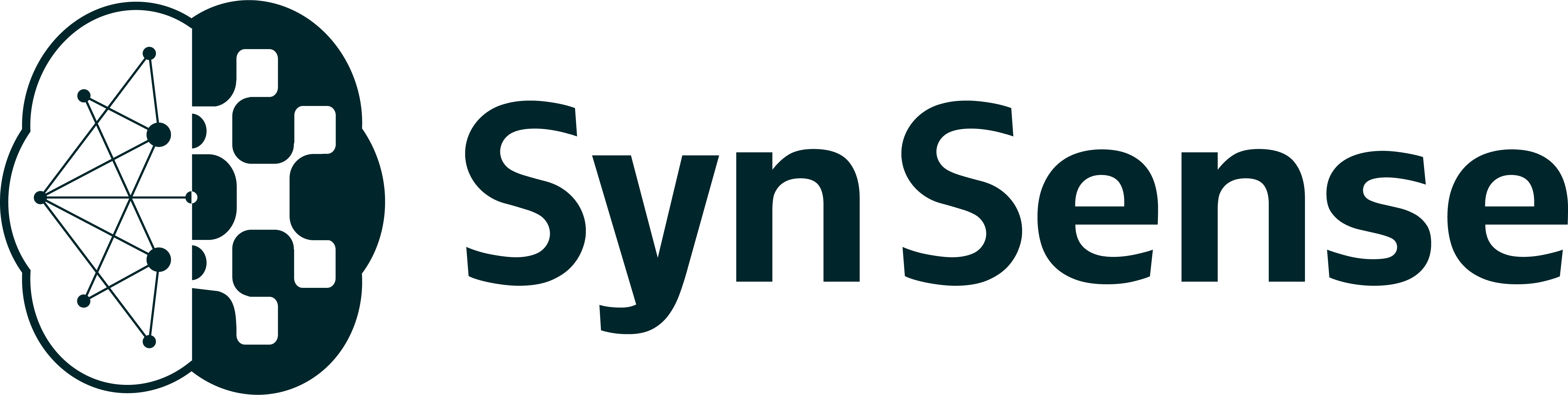 _images/synsense_logo.png